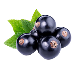 Black Currant Crush